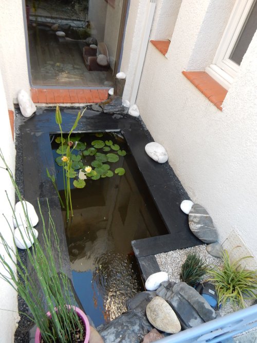 Rénovation de bassin L’Union