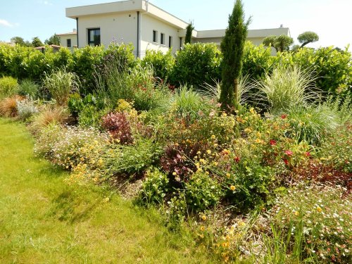 Devis mur végétal extérieur et/ou intérieur Verfeuil